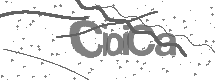 Captcha bild